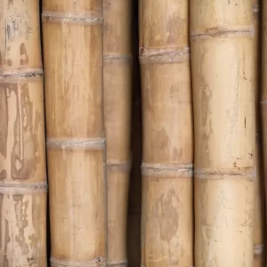 Pergola bambou Guadua 4x4m Classique