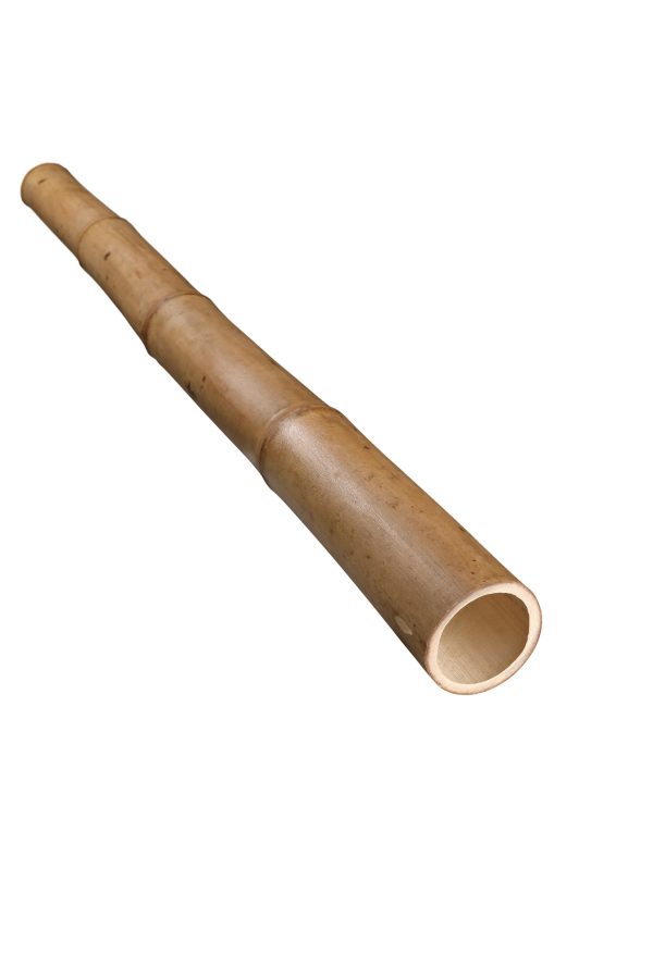 Tige de bambou-Guadua ⌀9-10cm