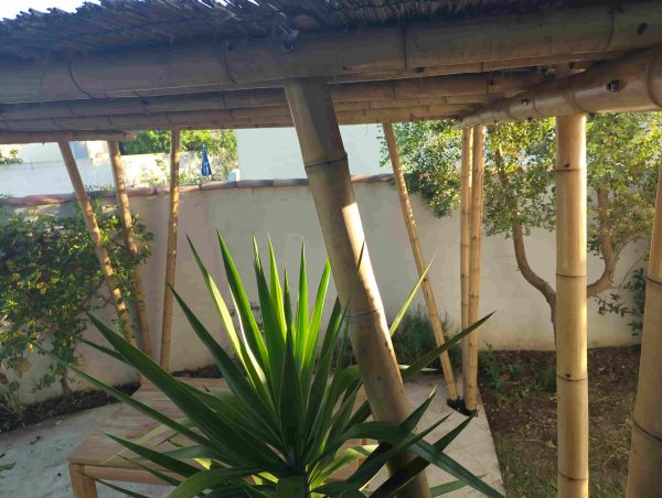 Paillote en bambou avec un toit en chaume de Camargue