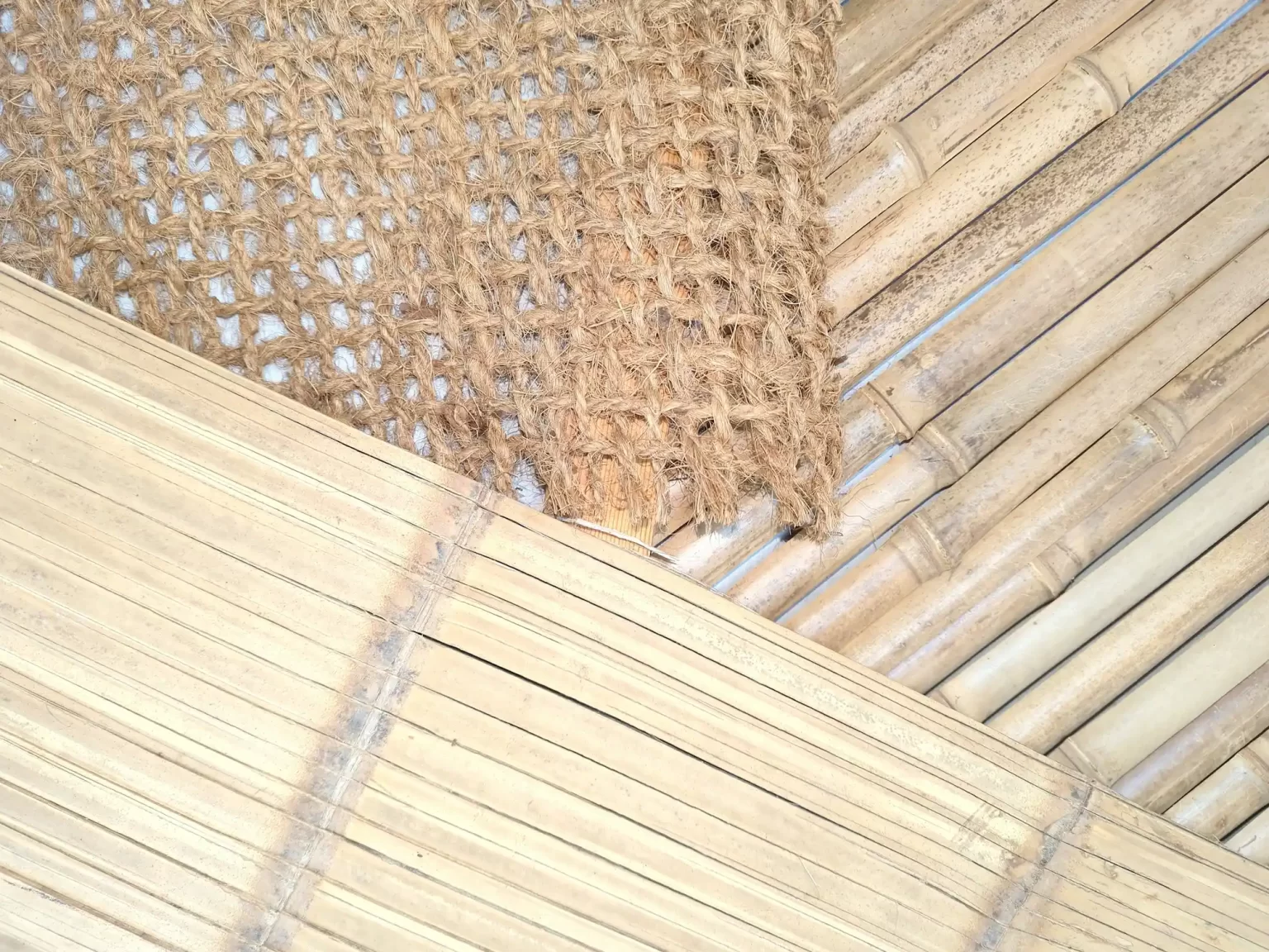échantillons de bambou, de esterija bambou et de toile de coco