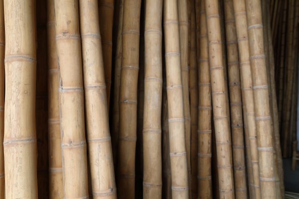 tronçons de bambou