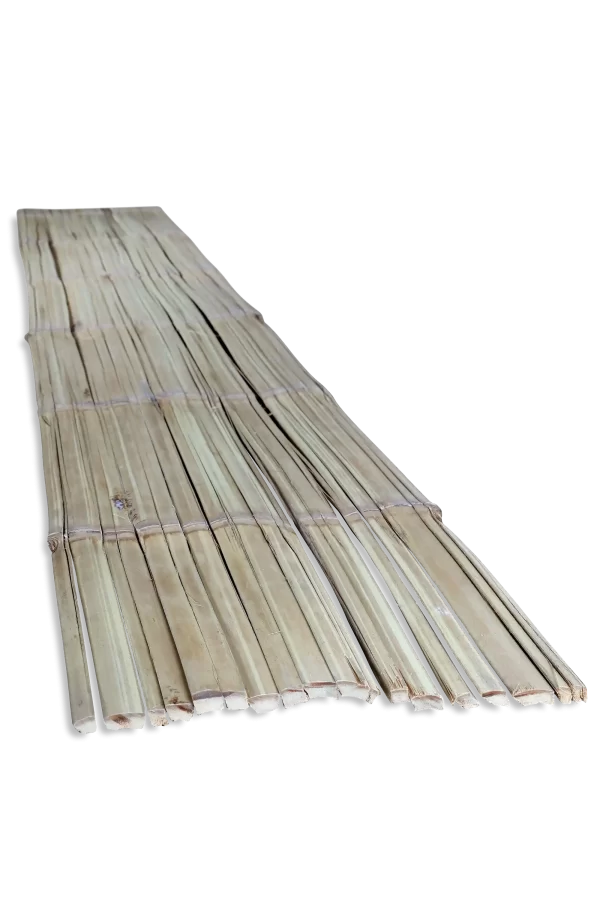 Esterija de bambou Guadua