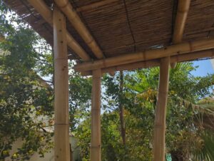 Pergola-bambou-réuionnnaise-toiture-chaume-de-camargue