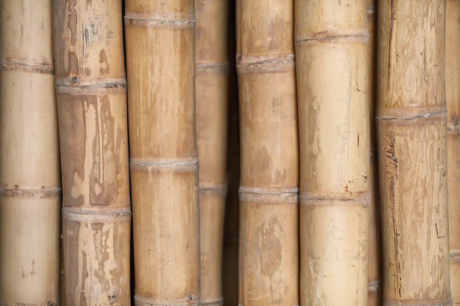 Stock de bambou