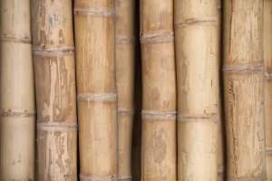 Stock de bambou