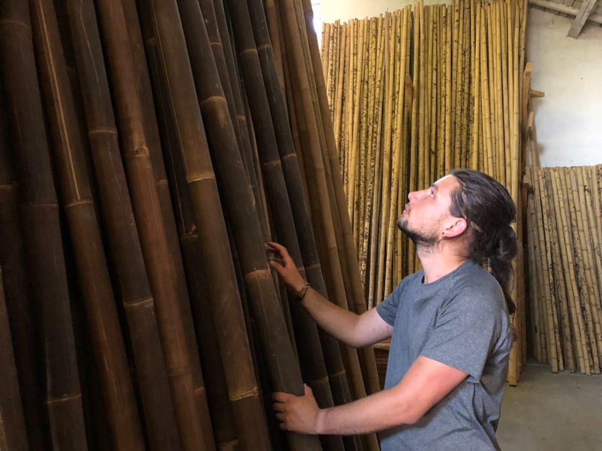 Sélection des tiges de bambou dans atelier BigBamboo par Santiago Montoya Teboo