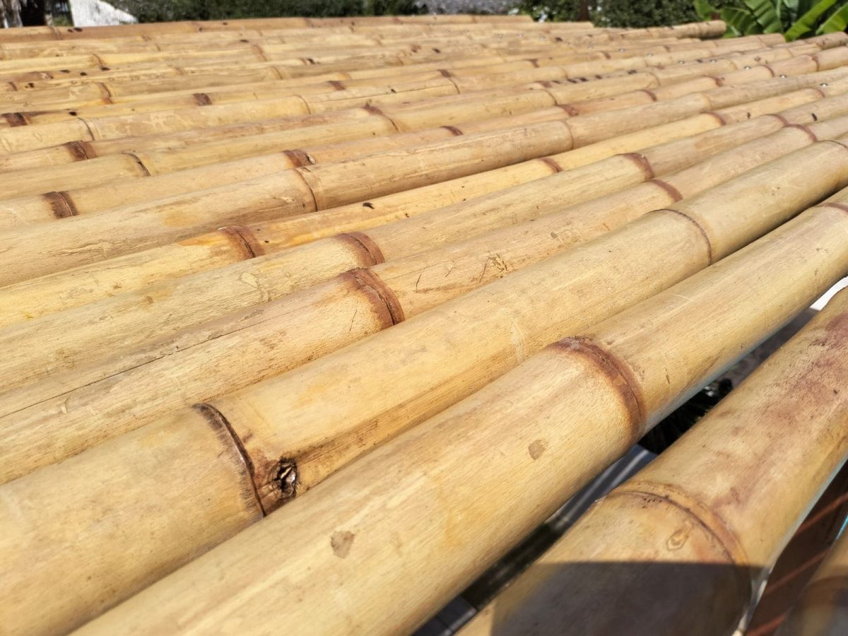 Gros plan sur des tiges de bambou Guadua utilisées en couverture d’ombrage, montrant la texture naturelle du matériau.
