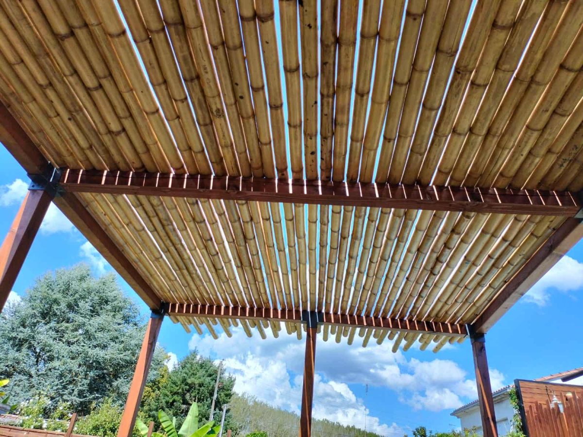 Ombrage en bambou – effet de filtration naturelle de la lumière